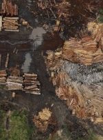 Україна перетворюється на сировинний придаток – голова комітету Ради з промполітики