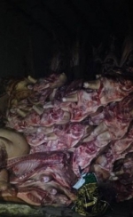 В зоні АТО затримали вантажівку з контрабандним м'ясом (фото)