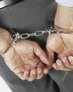 Голова РДА на Сумщині взяв 700 тисяч хабара за дозвіл на розкопки (відео)