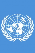 ООН в терміновому порядку розгляне ситуацію в Україні