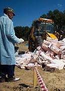 В РФ за рік знищили більше 7,5 тон санкційних продуктів