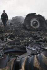 Слідство крок за кроком наближається до встановлення винних в катастрофі МН17 - координатор слідчої групи