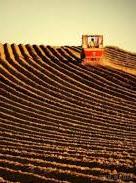 Парубій підтримав продовження мораторію на продаж землі