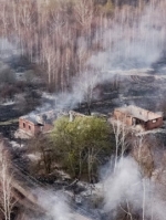 Уряд виділив 25 мільйонів на ліквідацію наслідків пожеж на Житомирщині
