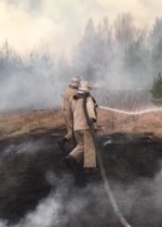 На Житомирщині виникло ще три пожежі в лісах