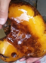 Прикордонники за півроку "назбирали" 500 кг бурштину