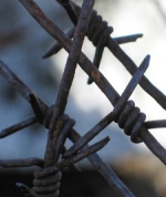 Російські прикордонники відгороджуются від України колючим дротом (відео)