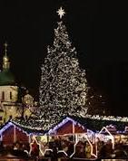 Головна ялинка України буде на метр вищою за минулорічну