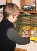 Рада заборонила дітям купувати тварин