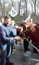 Ляшко привів під Кабмін корів