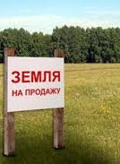 СЕТАМ розпочинає продаж арештованих земельних ділянок