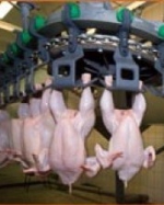 В Росії знову приглядаються до українського м'яса