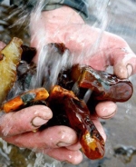 Копачі бурштину збунтувались на Волині (ФОТО)