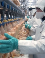 Росія відновила імпорт української курятини