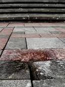 Біля Верховної Ради 31 серпня готувався теракт - силовики