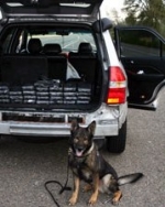 Балога каже, що контрабанду на Закарпатті кришують Яценюк та Аваков