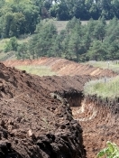 Почалось зведення стіни на кордоні з Росією