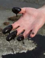 Нафта може подешевшати до $40