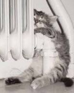 У Азарова кажуть, що опалювальний сезон може початись раніше