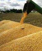 Україна запропонувала замінити Росію на турецькому агроринку