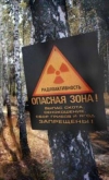 Поліція вручила двом людям підозри у причетності до підпалів у Чорнобильській зоні