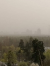 Київ затягнуло димом із зони ЧАЕС, містян просять зачинити вікна і не виходити