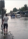 Житомир залило. У місті паралізовано рух транспорту (фото, відео)