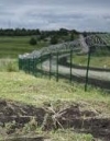 Затримали шістьох осіб, причетних до розкрадання коштів проекту “Стіна