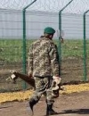 Прикордонники припускають, що будівництво "Стіни" затягнеться