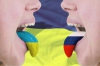 "Батьківщина" спробує скасувати "язык"