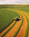 "Голос України" опублікував закон про ринок землі