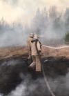 На Житомирщині виникло ще три пожежі в лісах
