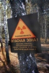 У Чорнобилі можуть запровадити е-перепустки