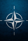 НАТО засуджує дії Росії щодо посилення військових дій в Україні