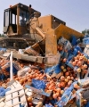 За тиждень в Росії знищили 22 тони продуктів